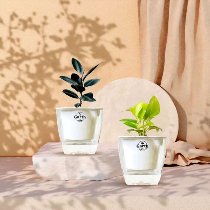 خرید گل و گلدان هدیه برای جلسه دفاع