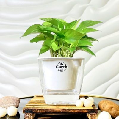 خرید گل و گلدان هدیه برای سر خاک