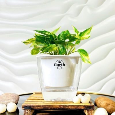 خرید گل و گلدان هدیه برای حنابندان