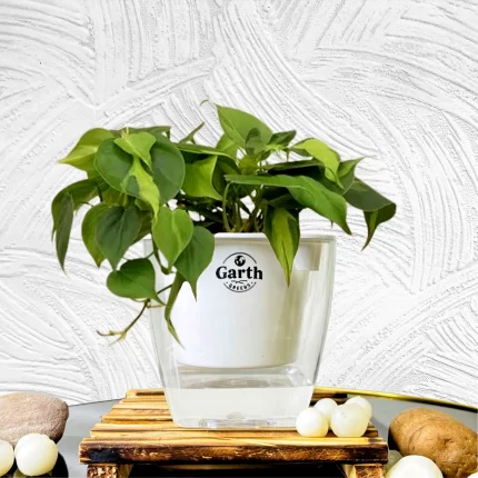 خرید گل و گلدان هدیه برای زوار