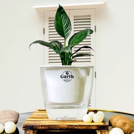 خرید گل و گلدان هدیه برای به دنیا آمدن نوزاد