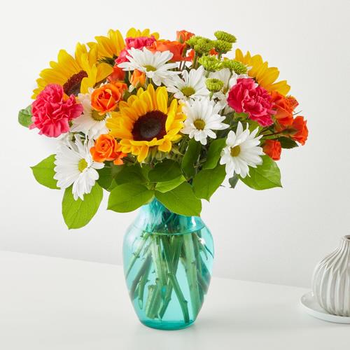 Sun-Drenched Blooms