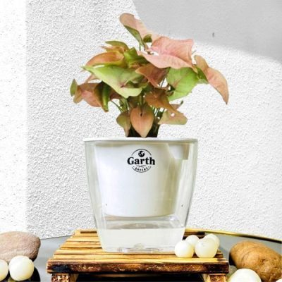 خرید گل و گلدان هدیه برای ست برای زن و شوهر ??