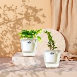 خرید گل و گلدان هدیه برای جشن فارغ‌التحصیلی