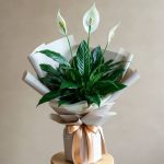 خرید گل و گلدان هدیه برای جشن اسم ?