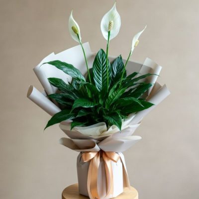 خرید گل و گلدان هدیه برای جشن اسم ?