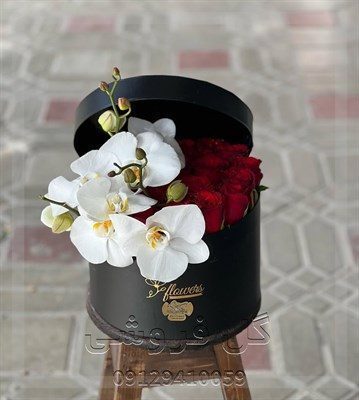 گلفروشی نزدیک ظفرعلی