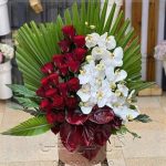 گلفروشی نزدیک گوشت فروشی ظفر