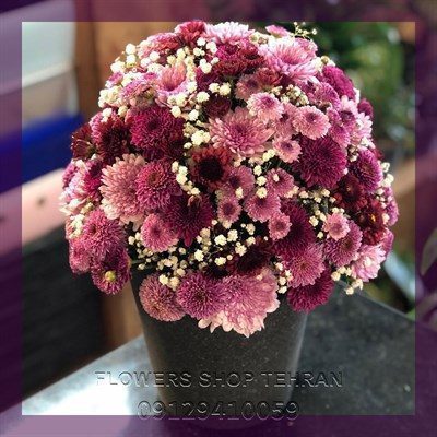 گلفروشی نزدیک کوچه عباس زند