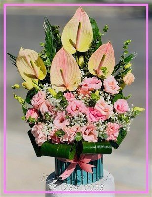 گل فروشی گل مرکزی ستارخان