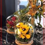 لفروشی نزدیک خیابان مقدس اردبیلی مرکز پالادیوم