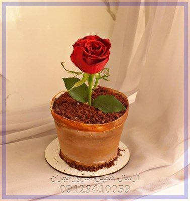 گلفروشی نزدیک پارک جهان کودک