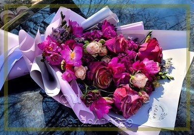 گلفروشی نزدیک حمایت از حیوانات غرب