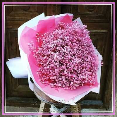 گل فروشی بلوار گلاب