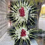 گلفروشی نزدیک نمایندگی دزدگیر چیتا ستارخان