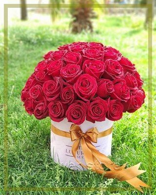 گلفروشی نزدیک نمایندگی سامسونگ شهرک غرب