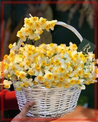 گلفروشی نزدیک دکتر زنان هفت تیر