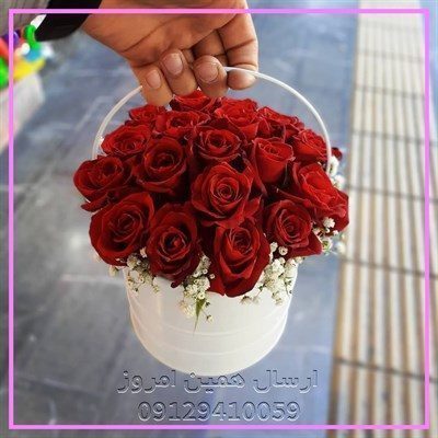 گل فروشی سینره