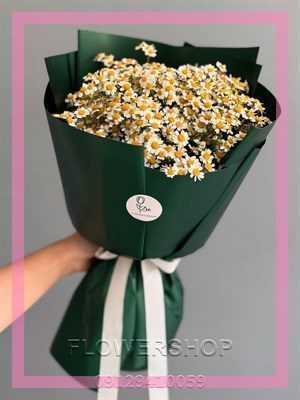 گلفروشی نزدیک غرب پایانه
