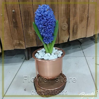 گلفروشی نزدیک زعفرانیه خیابان اعجازی