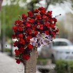 گلفروشی نزدیک دکتر ستاری دکتر گوارش