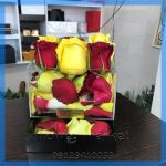 گلفروشی نزدیک شهرک گیشا