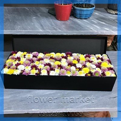 گلفروشی نزدیک متخصص مغز و اعصاب در گیشا