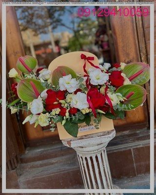بهترین گل برای کودک 6 ساله صادقیه