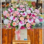 گل فروشی رز ژولیت