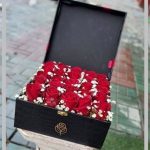 گل ژیپسوفیلا در کرج