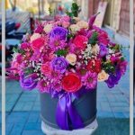 قیمت گل ژیپسی