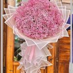 قیمت گل ژیپسوفیلا