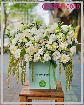 خرید گل ژیپسوفیلا رنگی