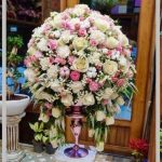 گل ژیپسوفیلان