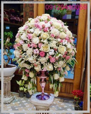 گل ژیپسوفیلان