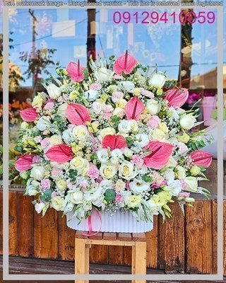 گل ژیپسوفیلا قیمت گل ژیپسوفیلا قیمت