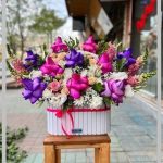 گل ژیپسوفیلا در قیطریه و چیذر