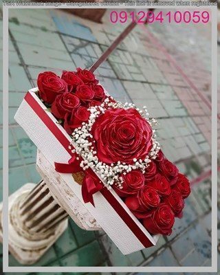 گل فروشی لیلیوم نسیم