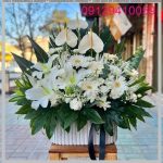 گل برای خانم 60 ساله