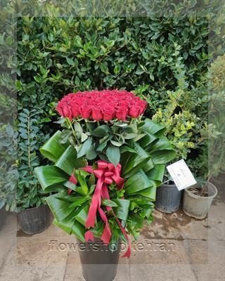 گلفروشی نزدیک خیابان معلم