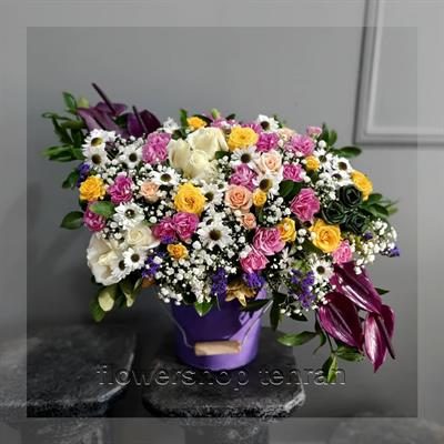 با دسته گل زایمان فضای خانه یا محل کار را زنده کن