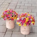 دسته گل کوچک مناسب شرکت‌ها، مطب‌ها و فضاهای اداری