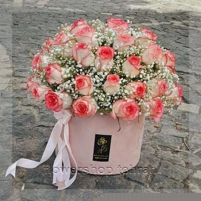 سفارش آسان انواع گل شبنم فقط با چند کلیک
