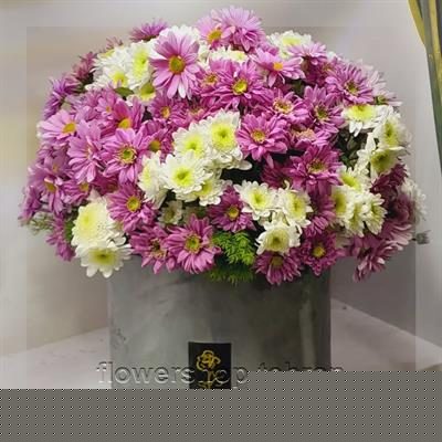با خرید آنلاین رز جاودان فضای خانه یا محل کار را زنده کن