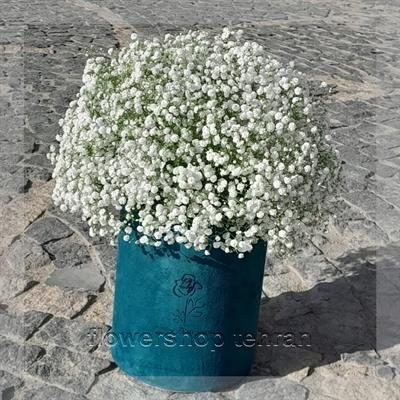 گلفروشی نزدیک کوهک