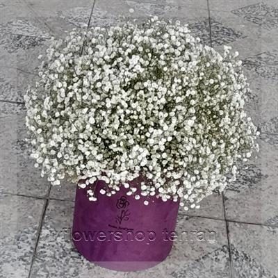 گلفروشی نزدیک کوچه پروین