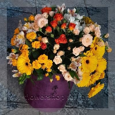 خرید عکس گل شراره برای خوشحال کردن عزیزانت در هر مناسبتی
