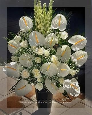 گلفروشی نزدیک کوچه سهیل گلفروشی نزدیک کوچه سهیل