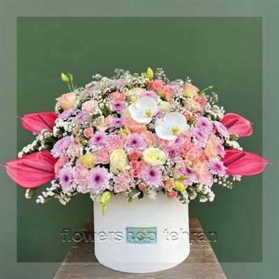 با دسته گل ارکیده و ژیپسوفیلا بدون حرف اضافه، توجه و محبتت را نشان بده