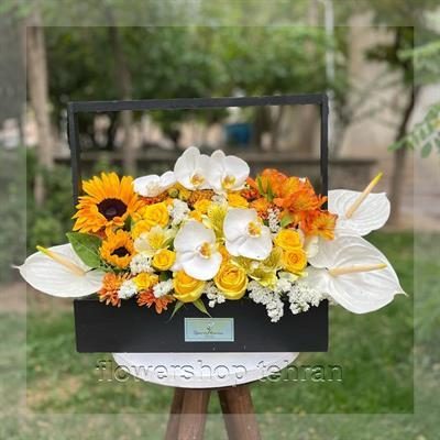 با گل ژیپسوفیلا قیمت فضای سرد و خسته‌کننده را زنده کن